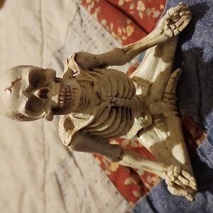 Cross Legged Yoga Pose Skeleton